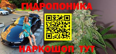 mdma Камышлов